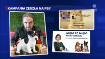 "Wydarzenia": Psy w kampanii wyborczej. Posłanka Konfederacji dała powód do dyskusji