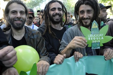 "Zioło" w Urugwaju już legalne 