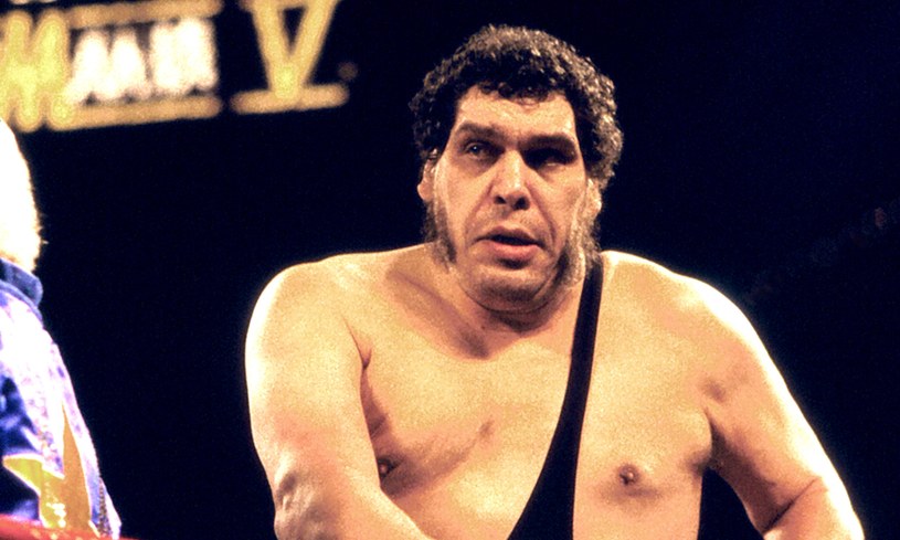 André the Giant /Jeffrey Asher /Getty Images