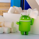 Android 10 najpopularniejszym systemem mobilnym Google