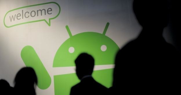 Android 4.1 będzie miał problemy z Flashem? /AFP