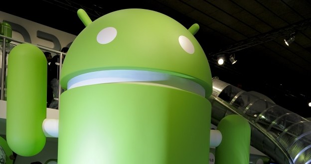 Android jest nie do ruszenia /AFP