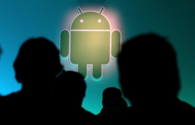 Android nie zdobył popularności w USA /AFP