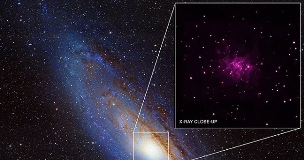 Andromeda   Fot. NASA/CXC/SAO/R. Barnard, Z. Lee et al /NASA