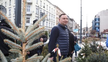 Andrzej Duda kupuje choinkę