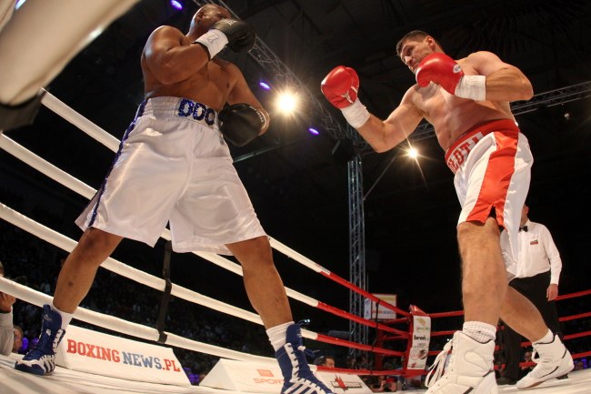 Andrzej Gołota i Danell Nicholson /PAP/Waldemar Deska /PAP