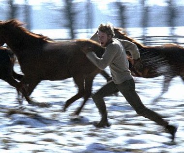 Andrzej Wajda wykorzystał też niektóre pomysły aktorów, na przykład finałową pogoń Daniela Olbrychskiego za końmi.