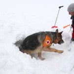 Andrzej zaginął w Tatrach. Ostatni ślad na Kasprowym Wierchu