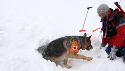 Andrzej zaginął w Tatrach. Ostatni ślad na Kasprowym Wierchu