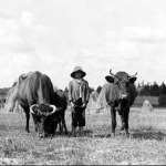 dzieci Aneta Godynia: Na wsiach nieślubne dzieci były zawsze