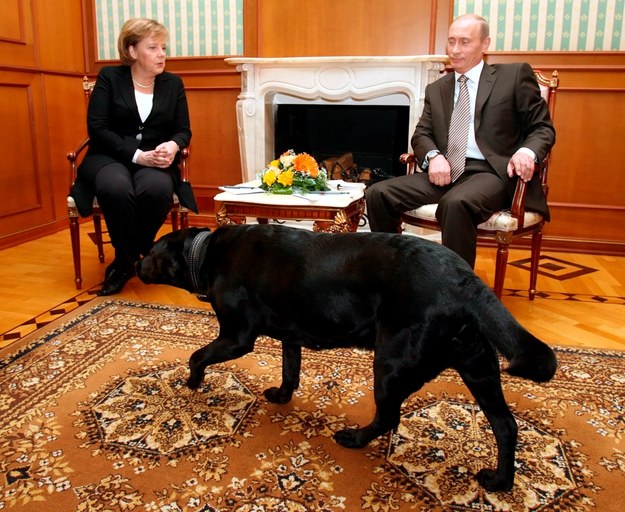 Angela Merkel, Władimir Putin i pies podczas spotkania w Soczi w 2007 roku /SERGEI CHIRIKOV /PAP/EPA