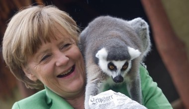 Angela Merkel z lemurem