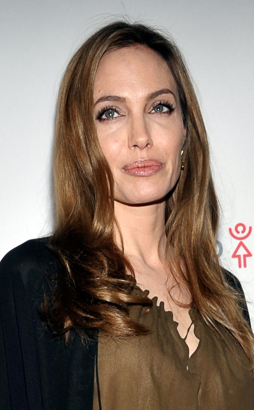 Angelina Jolie /Daniel Zuchnik /Getty Images