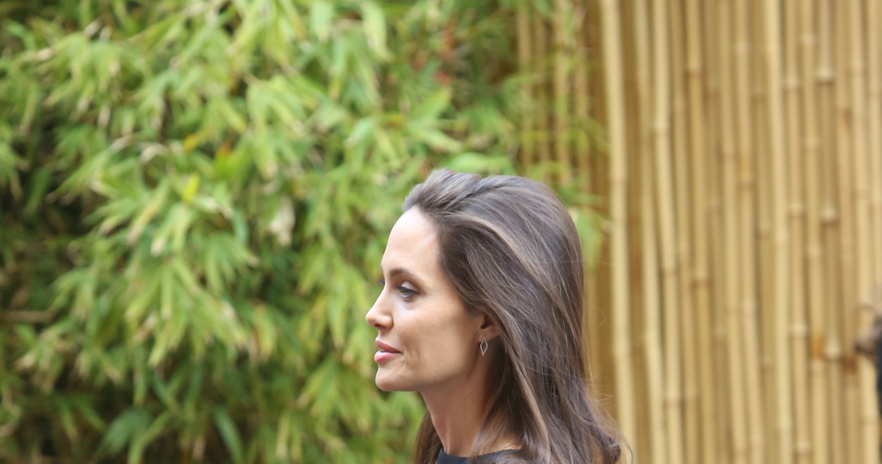 Angelina Jolie /Agencja FORUM