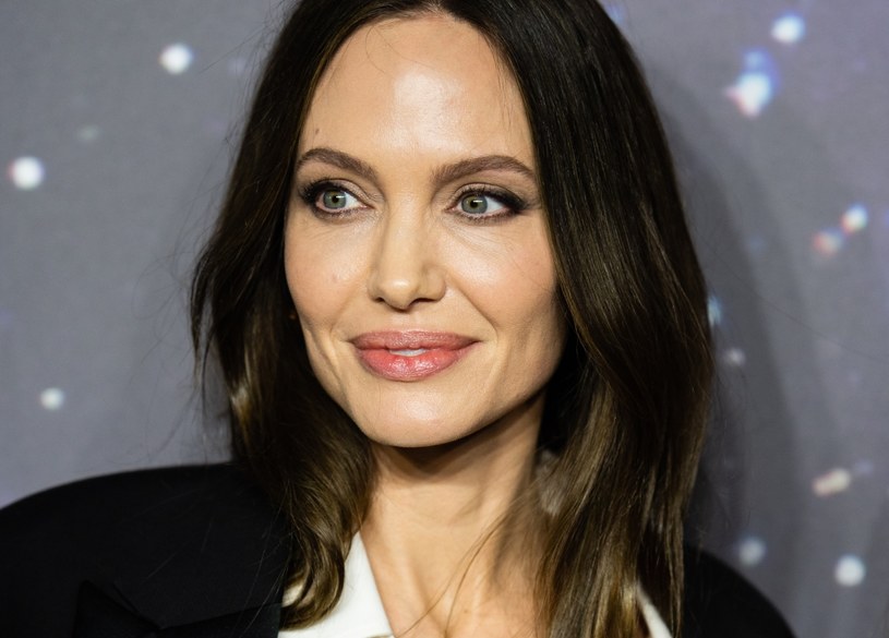 Angelina Jolie / Samir Hussein / Contributor