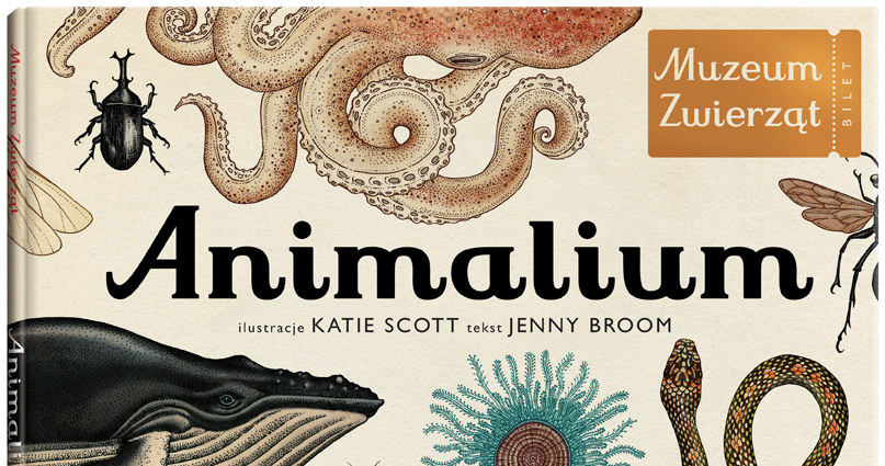 „Animalium. Muzeum zwierząt” /INTERIA.PL/materiały prasowe