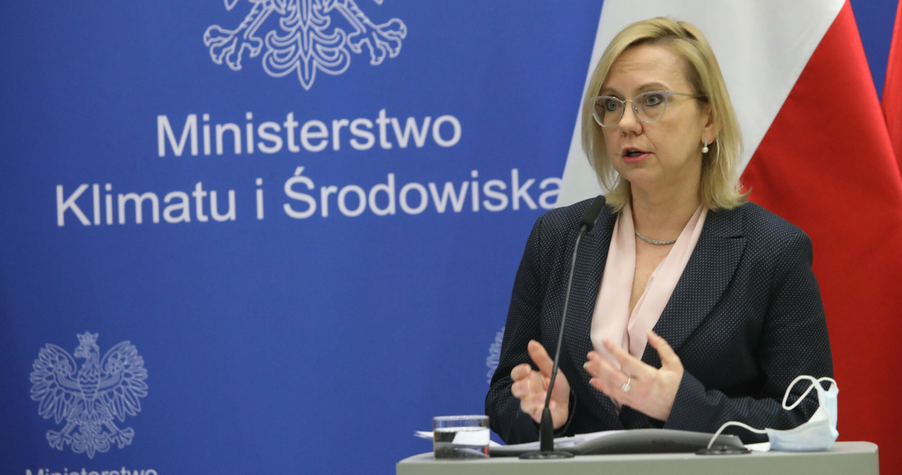 Anna Moskwa, minister klimatu i środowiska /Tomasz Jastrzębowski /Reporter