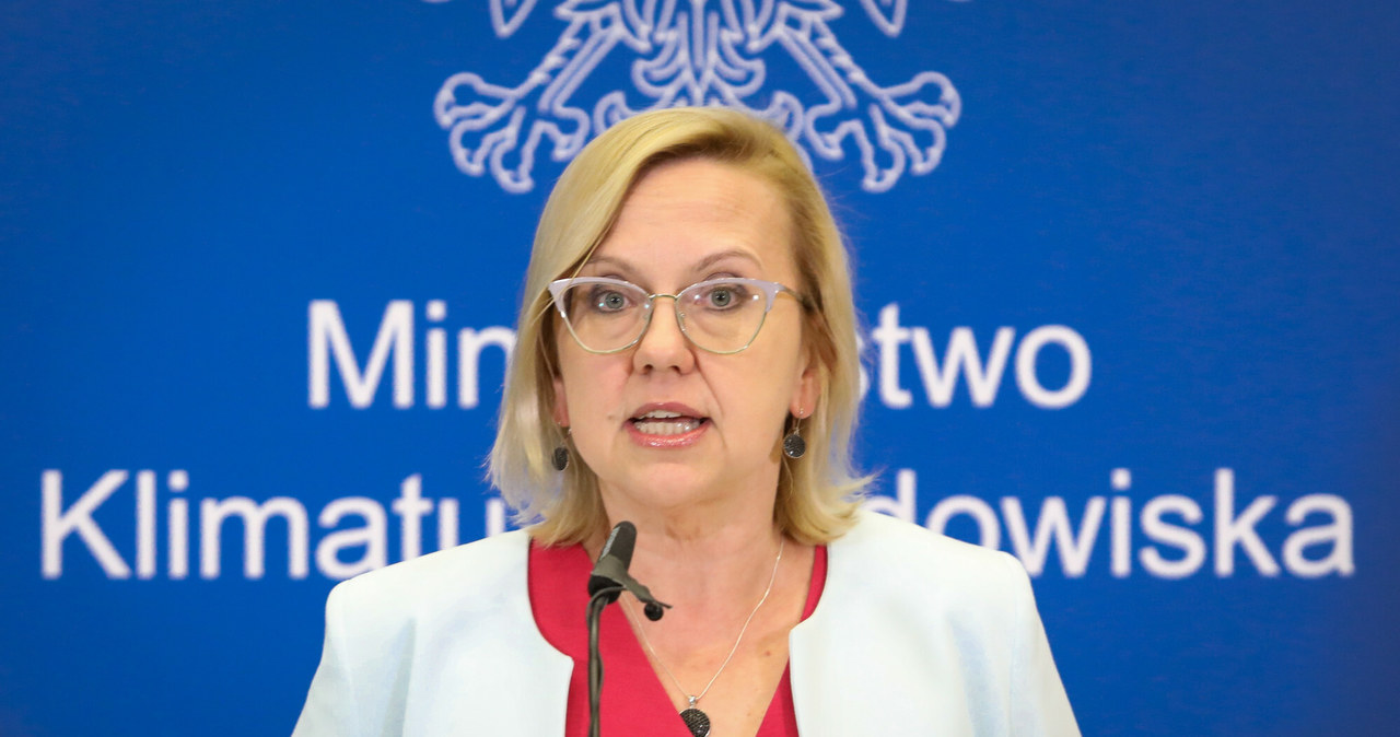 Anna Moskwa, minister klimatu i środowiska /Tomasz Jastrzębowski /Reporter