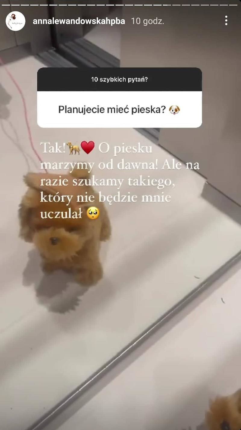 Anna odpowiedziała na pytanie o członka rodziny /Instagram