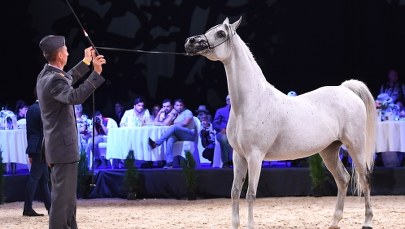 ​Anna Stojanowska o Pride of Poland 2018: To nie upadek, to dno