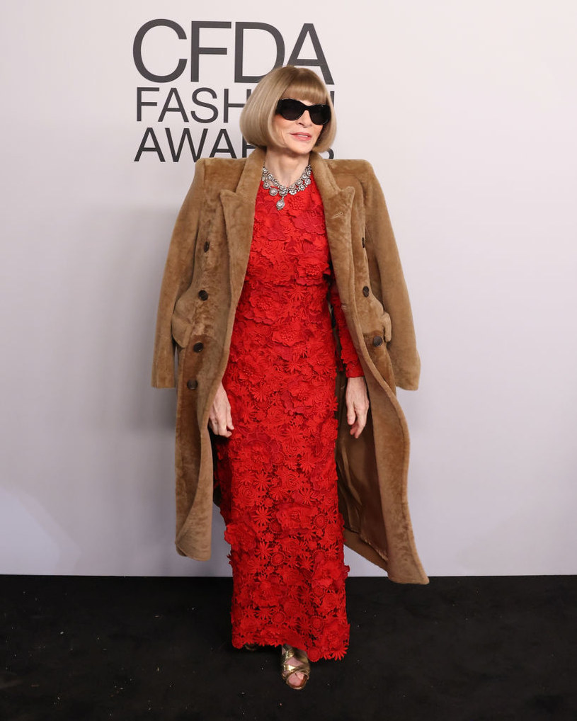 Anna Wintour na gali CFDA Awards /Taylor Hill / Contributor /Getty Images