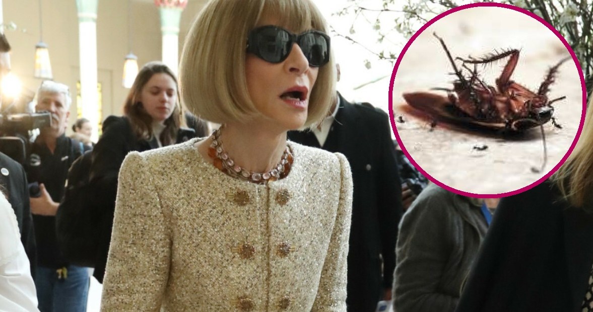 Anna Wintour, redaktor naczelna amerykańskiego Vogue'a. /Rex Features/East News; Value Stock Images/East News /East News