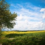 ANR ogranicza dzierżawy i podnosi stawki opłat za użytkowanie ziemi