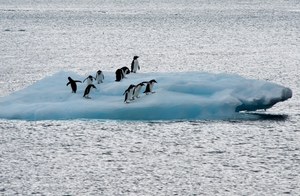 Antarktyda traci pokrywę lodową