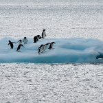 Antarktyda traci pokrywę lodową