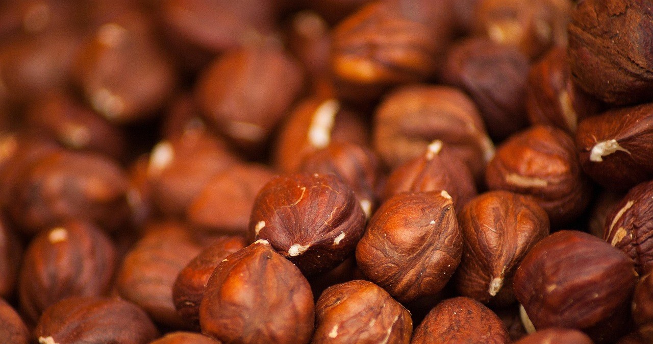 Антиоксиданти у складі фундука уповільнюють процеси старіння, підтримують здоров’я шкіри, волосся та нігтів /pixabay.com