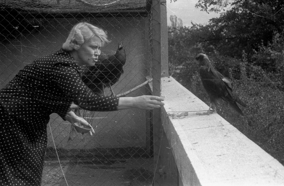 Antonina Żabińska /Stanisław Dąbrowiecki /PAP