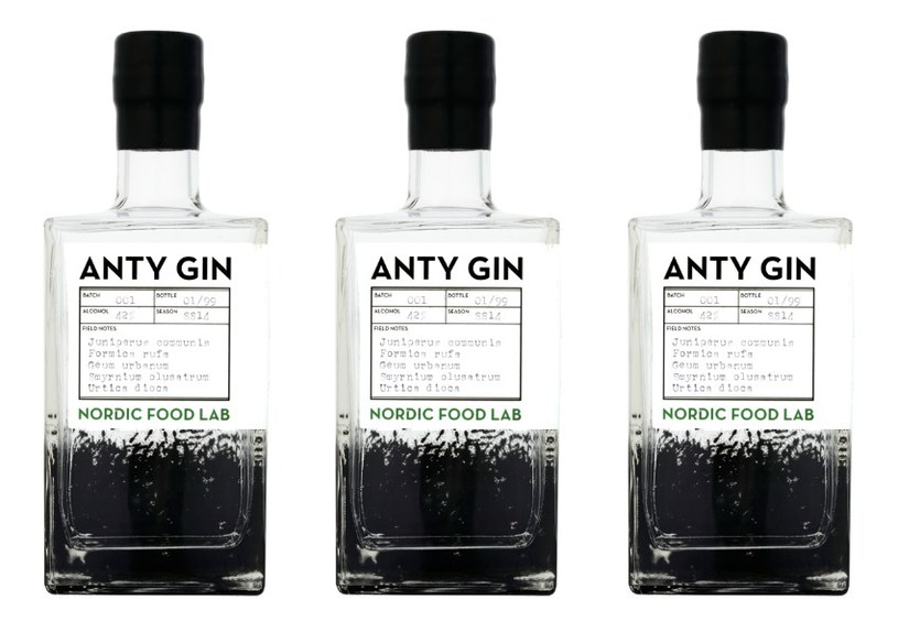 Anty Gin - gin powstały na bazie mrówek... /Cambridge Distillery /materiały prasowe
