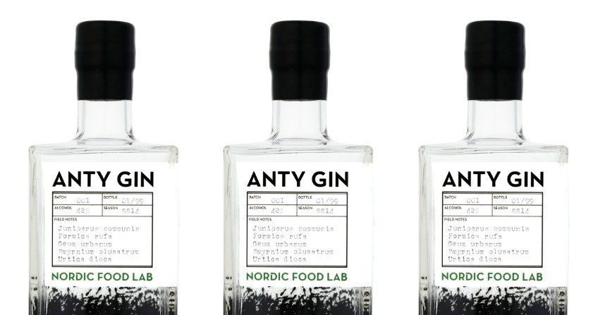 Anty Gin - gin powstały na bazie mrówek... /Cambridge Distillery /materiały prasowe