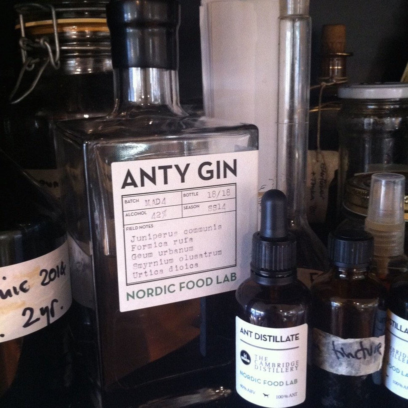 Anty Gin w pracowni Cambridge Distillery /materiały prasowe