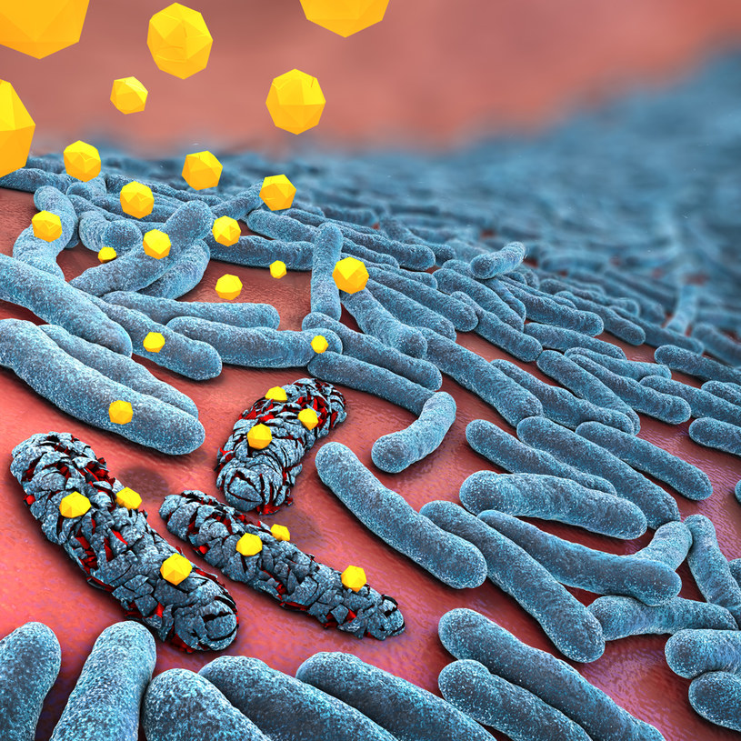 Antybiotyki zabijają bakteria albo zapobiegają ich namnażaniu się /123RF/PICSEL