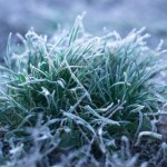 Antycyklon Uli zatrzyma wiosnę. Wracają chłód i przymrozki