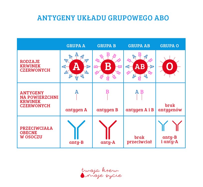 Antygeny układu grupowego AB0 /Narodowe Centrum Krwi /materiały promocyjne