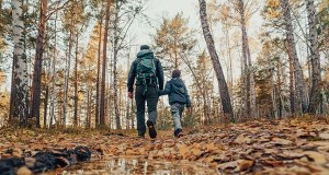 Apel wojewody łódzkiego w sprawie lasów. Chodzi o ASF