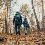 Apel wojewody ws. lasów. Chodzi o ASF