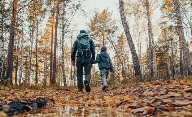 Apel wojewody ws. lasów. Chodzi o ASF