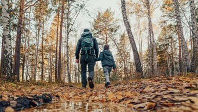 Apel wojewody ws. lasów. Chodzi o ASF