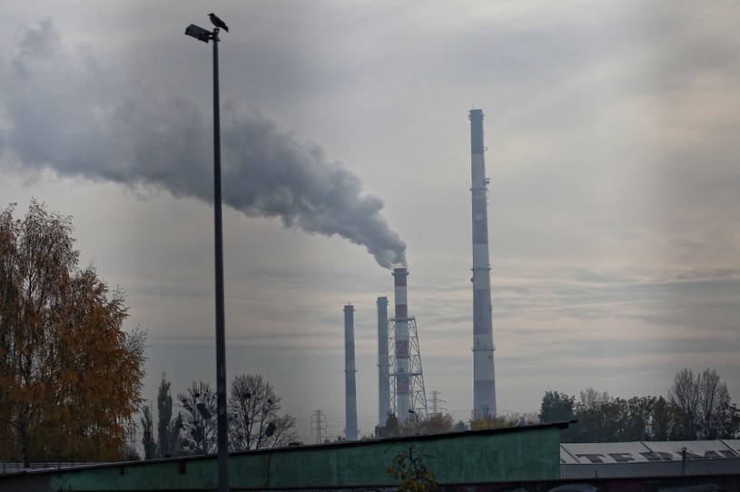 Apele o działanie w sprawie poprawy jakości powietrza od lat nie dają upragnionych skutków /NurPhoto /Getty Images