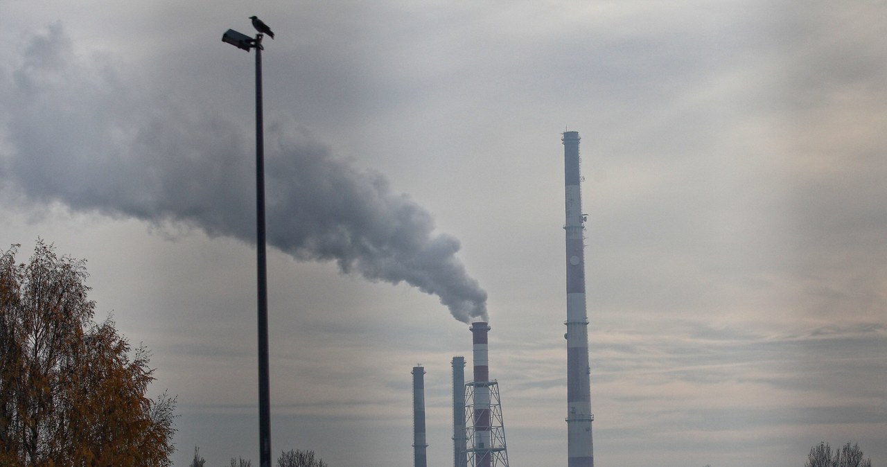 Apele o działanie w sprawie poprawy jakości powietrza od lat nie dają upragnionych skutków /NurPhoto /Getty Images