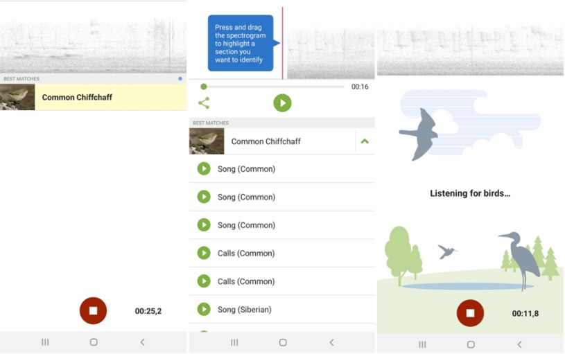 Aplikacja Merlin Bird sama rozpoznaje odgłos ptaka z nagrania i dopasowuje do gatunku. Podczas prób wyniki były bezbłędne /Karol Kubak /domena publiczna