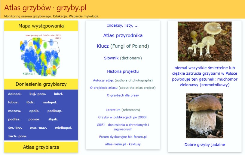 Aplikacja mobilna grzyby.pl zawiera szczegółowe mapy występowania poszczególnych gatunków i odmian /123RF/PICSEL /123RF/PICSEL