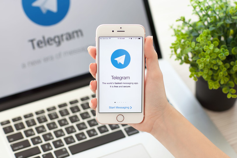 Aplikacja Telegram /123RF/PICSEL