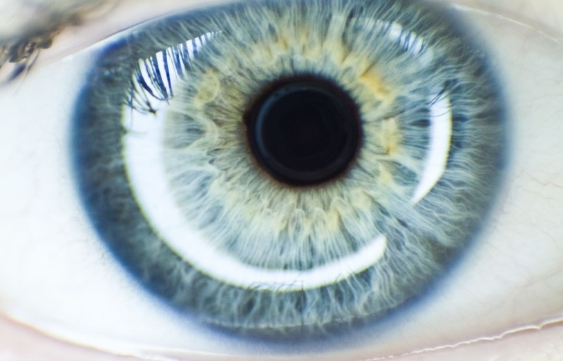 Aplikacja wykryje chorobę oczu /123RF/PICSEL