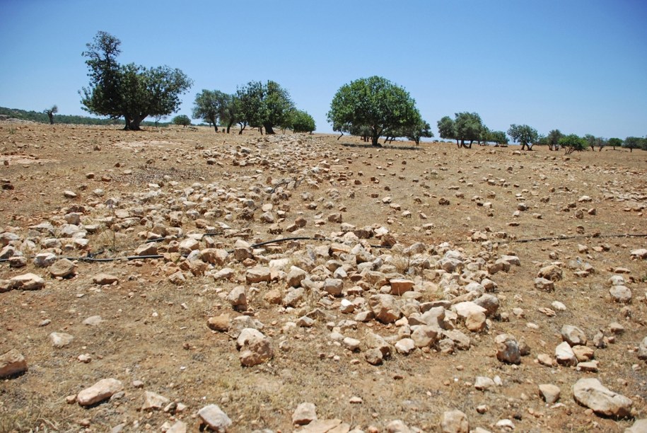 Apokaliptyczna susza na Cyprze /blickwinkel /PAP/DPA