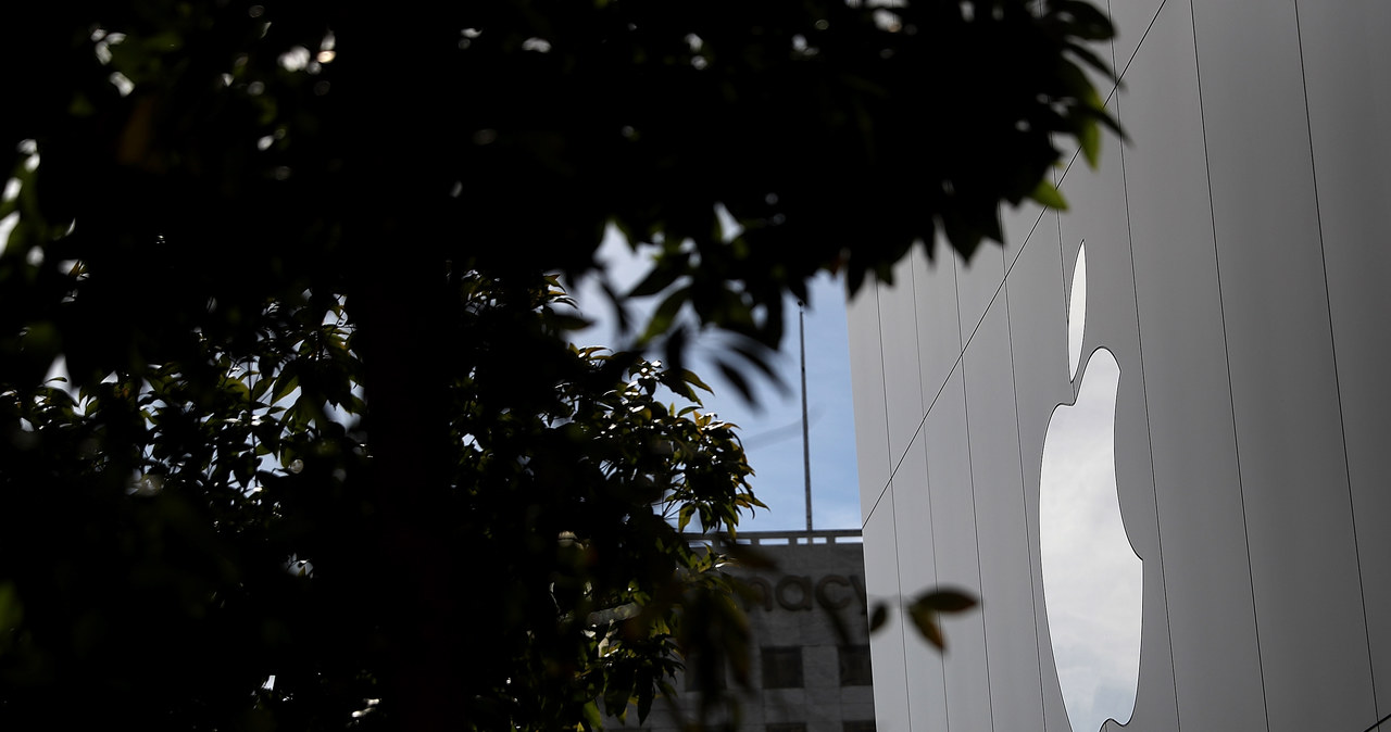 Apple inwestuje w kobalt /AFP