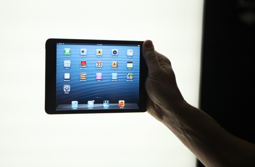 Apple iPad mini służy tylko do konsumpcji treści? /AFP